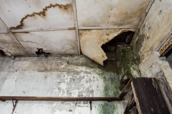 Water Damage Service in Spotsylvania