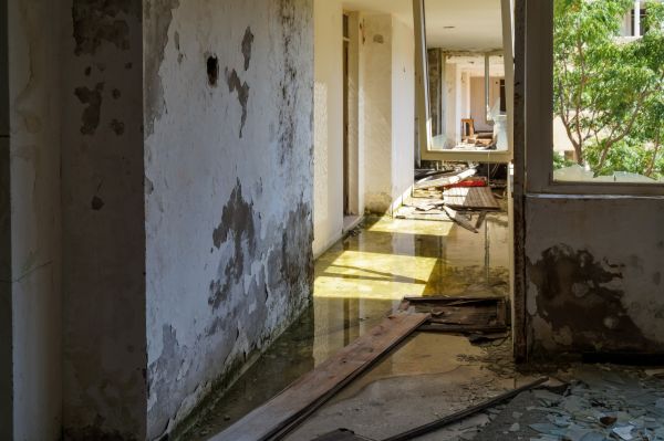 Water Removal Service in Spotsylvania