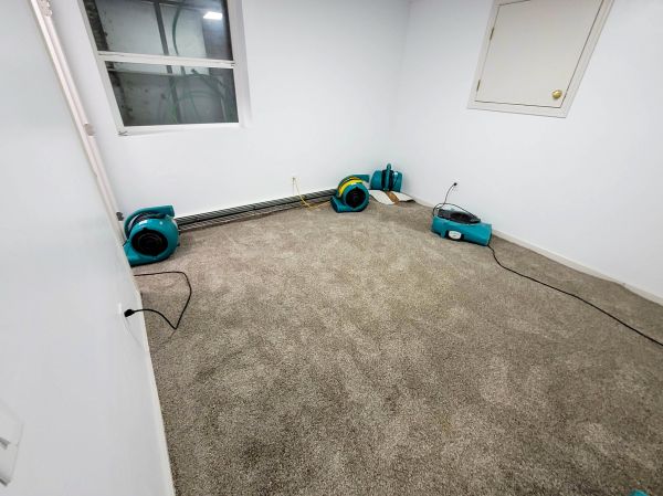 Flood Restoration Service in Spotsylvania