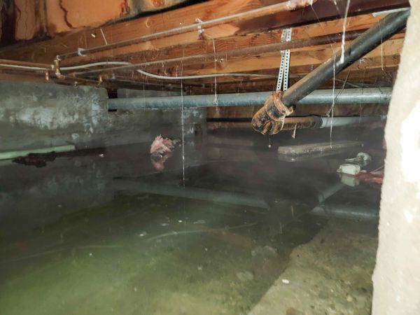 Water Mitigation Service in Spotsylvania